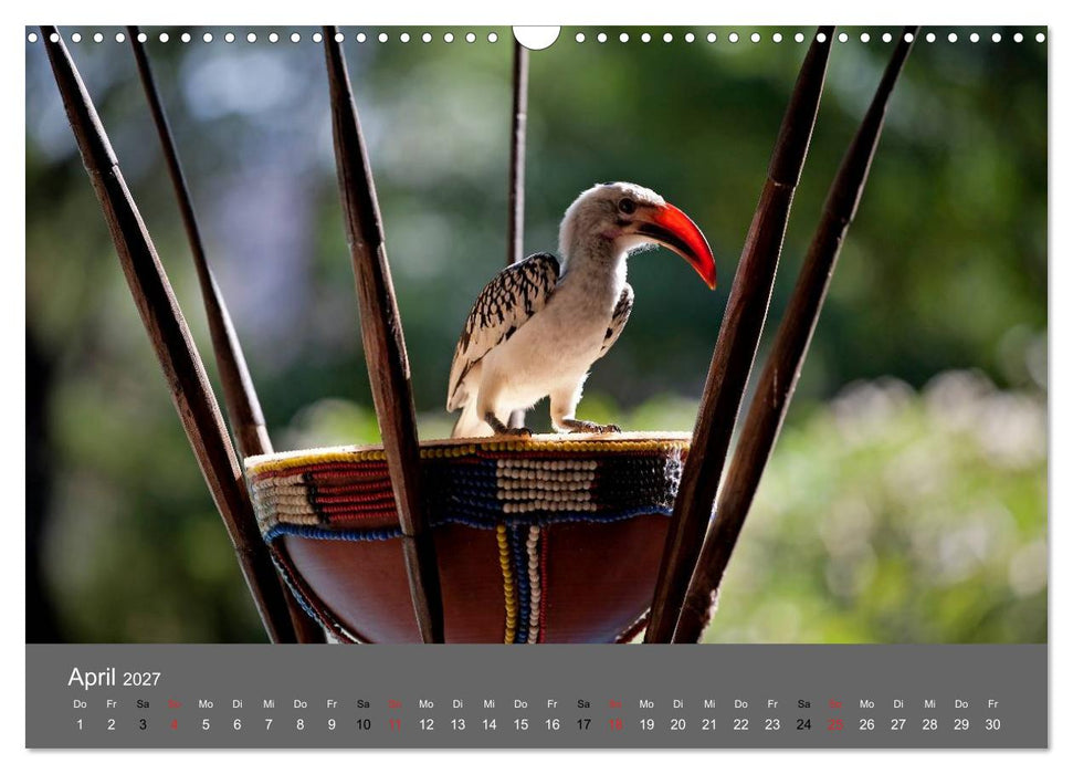 Ich träumte von Afrika (CALVENDO Wandkalender 2027)