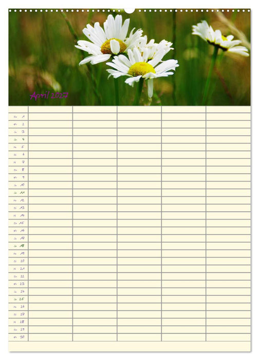 Der Naturgarten Familienplaner (CALVENDO Wandkalender 2027)