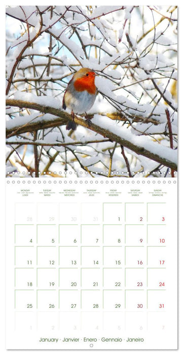 Garden Happiness (CALVENDO Monthly Calendar 2027)