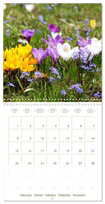 Garden Happiness (CALVENDO Monthly Calendar 2027)