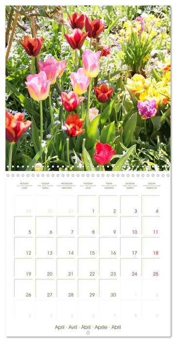 Garden Happiness (CALVENDO Monthly Calendar 2027)