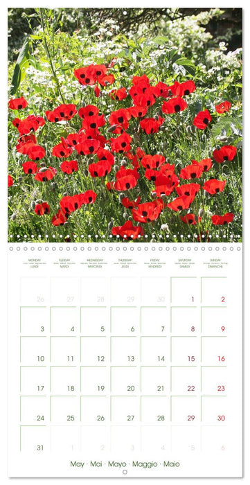 Garden Happiness (CALVENDO Monthly Calendar 2027)