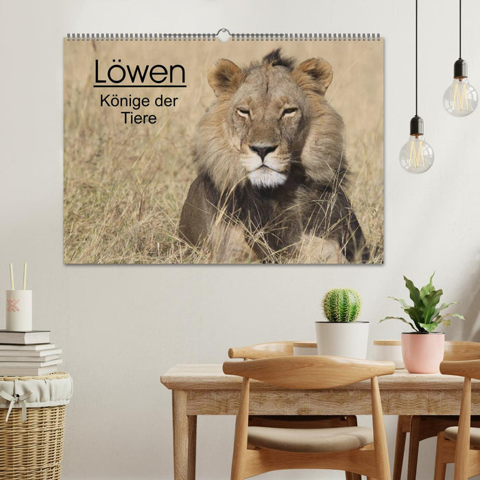 Löwen - Könige der Tiere (CALVENDO Wandkalender 2027)
