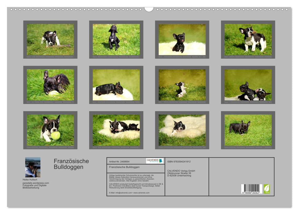 Französische Bulldoggen (CALVENDO Wandkalender 2027)