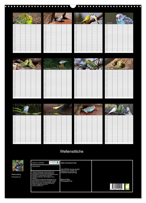 Wellensittiche (CALVENDO Wandkalender 2027)