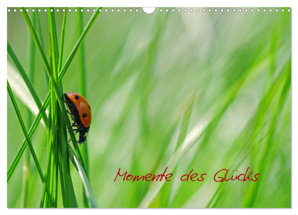 Momente des Glücks (CALVENDO Wandkalender 2027)