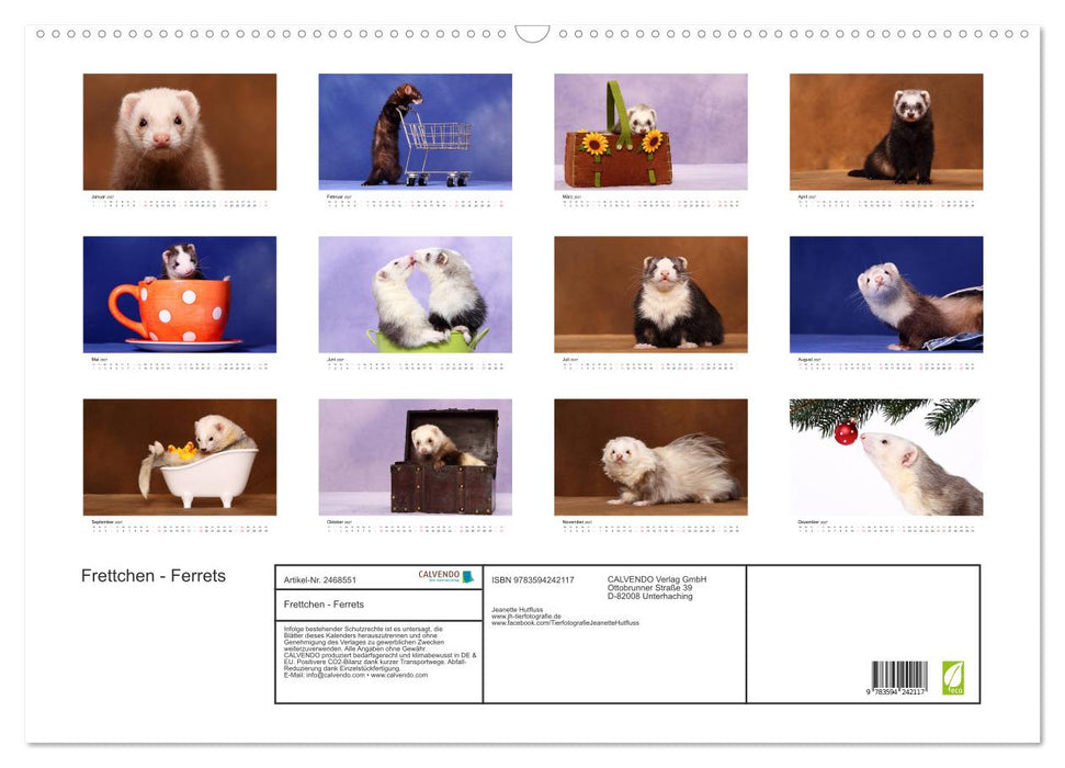Frettchen - Ferrets (CALVENDO Wandkalender 2027)