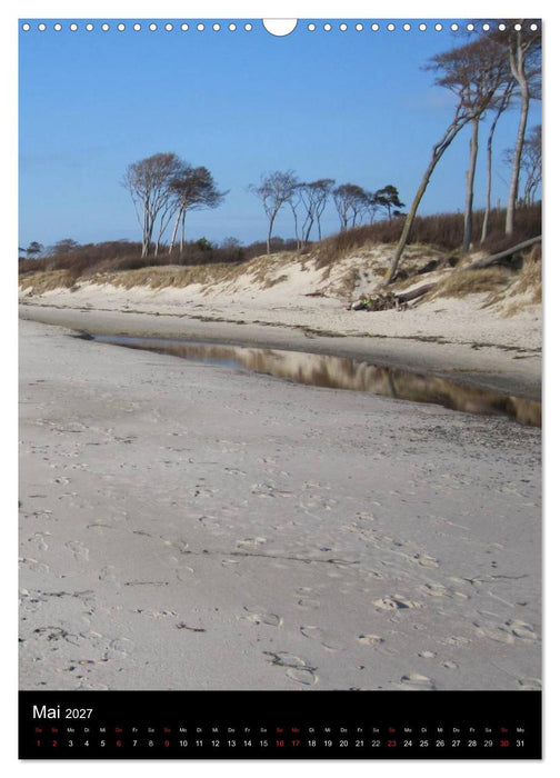 Ostseeblicke (CALVENDO Wandkalender 2027)