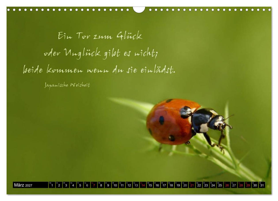 Das kleine, große Glück (CALVENDO Wandkalender 2027)