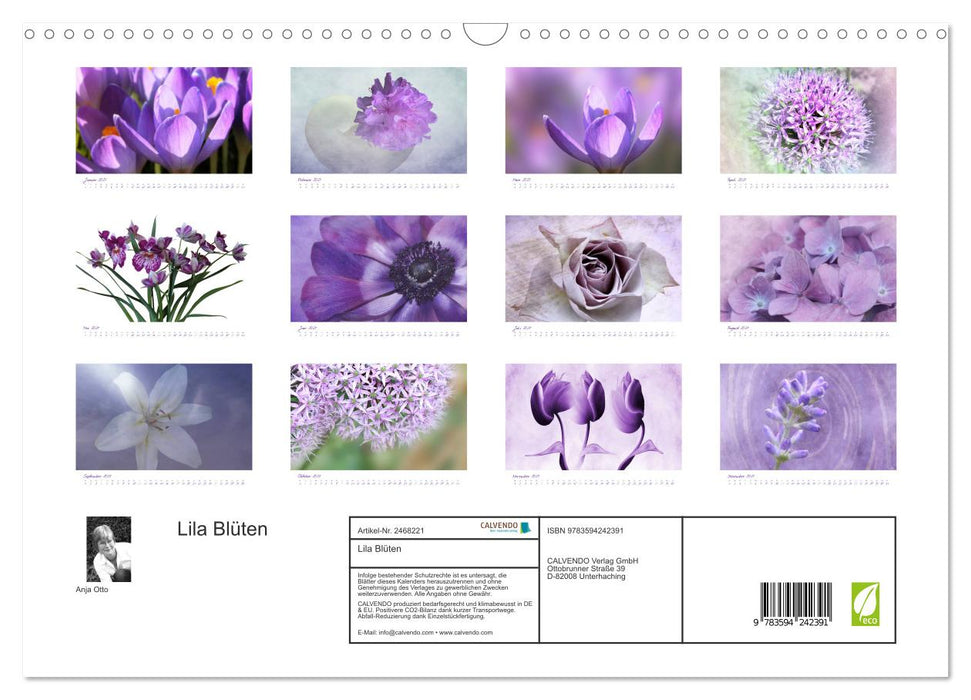 Lila Blüten (CALVENDO Wandkalender 2027)