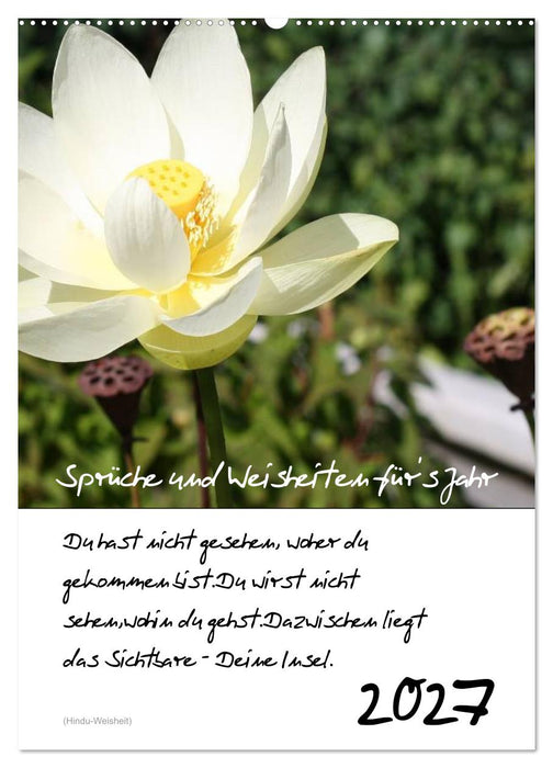 Sprüche und Weisheiten für´ s Jahr (CALVENDO Wandkalender 2027)
