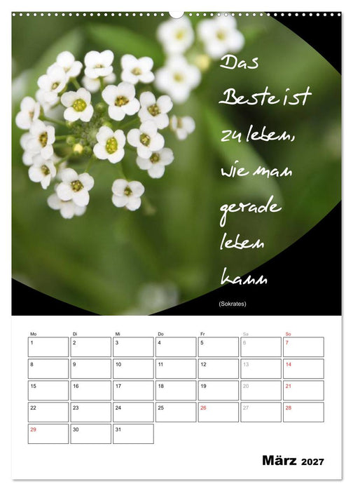 Sprüche und Weisheiten für´ s Jahr (CALVENDO Wandkalender 2027)