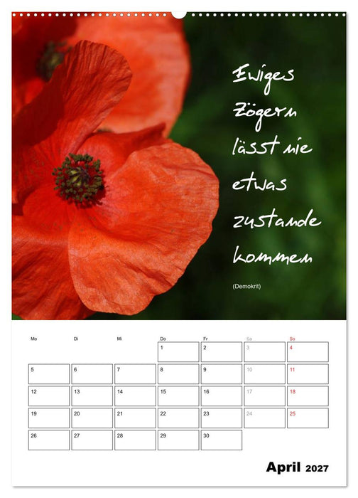 Sprüche und Weisheiten für´ s Jahr (CALVENDO Wandkalender 2027)