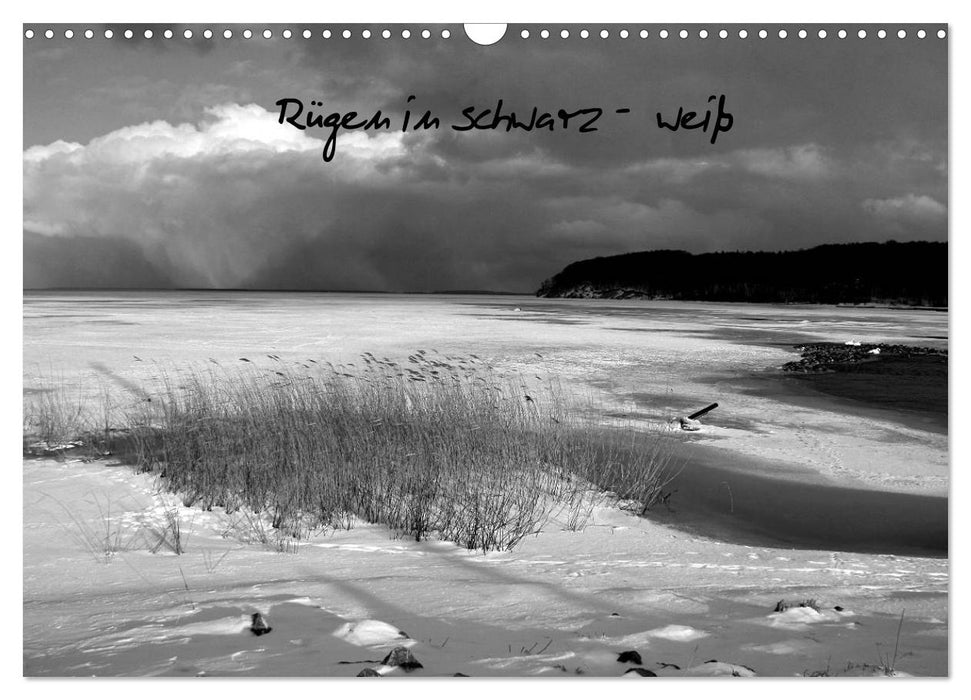 Rügen in schwarz-weiß (CALVENDO Wandkalender 2027)