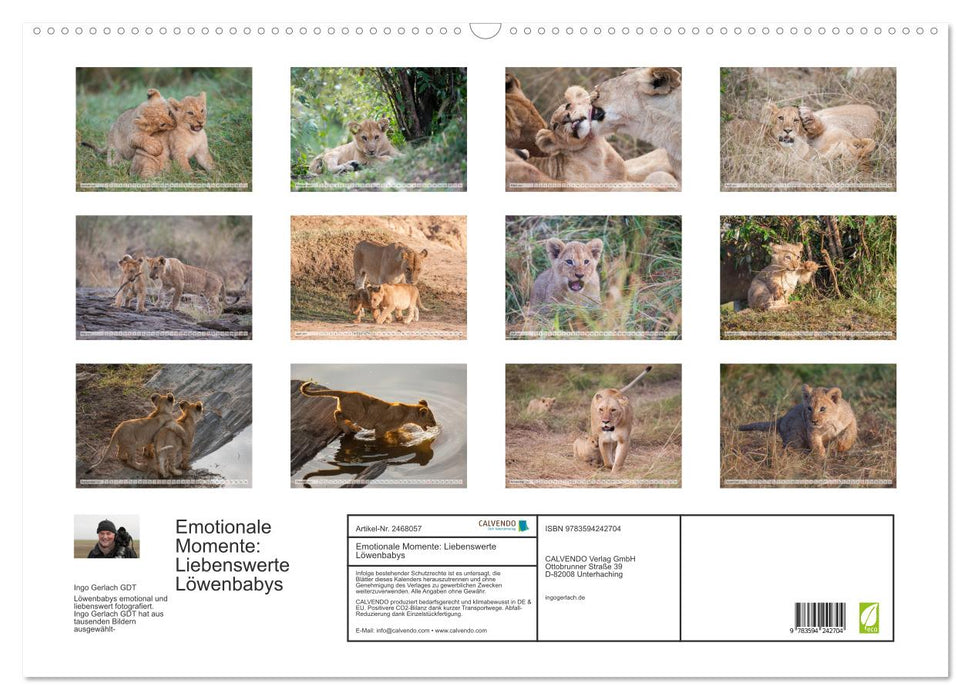 Emotionale Momente: Liebenswerte Löwenbabys (CALVENDO Wandkalender 2027)