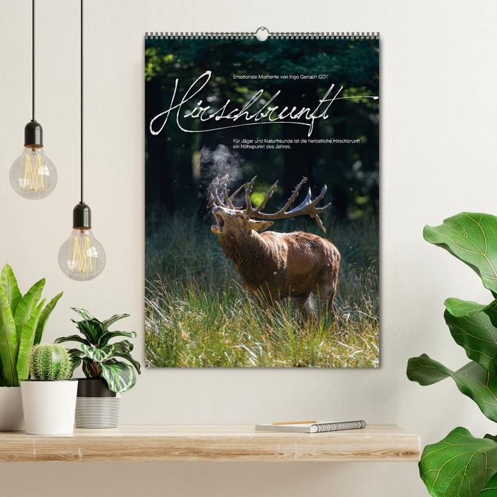 Emotionale Momente: Hirschbrunft (CALVENDO Wandkalender 2027)