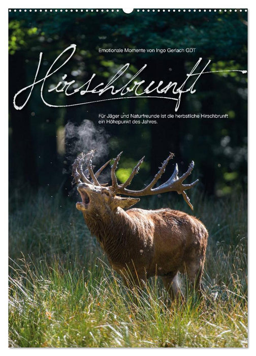 Emotionale Momente: Hirschbrunft (CALVENDO Wandkalender 2027)