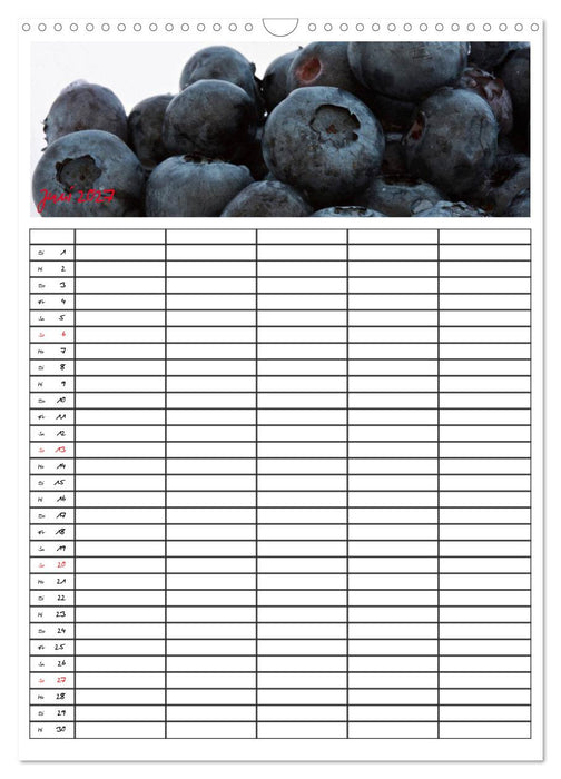 FOOD -Familienkalender (CALVENDO Wandkalender 2027)
