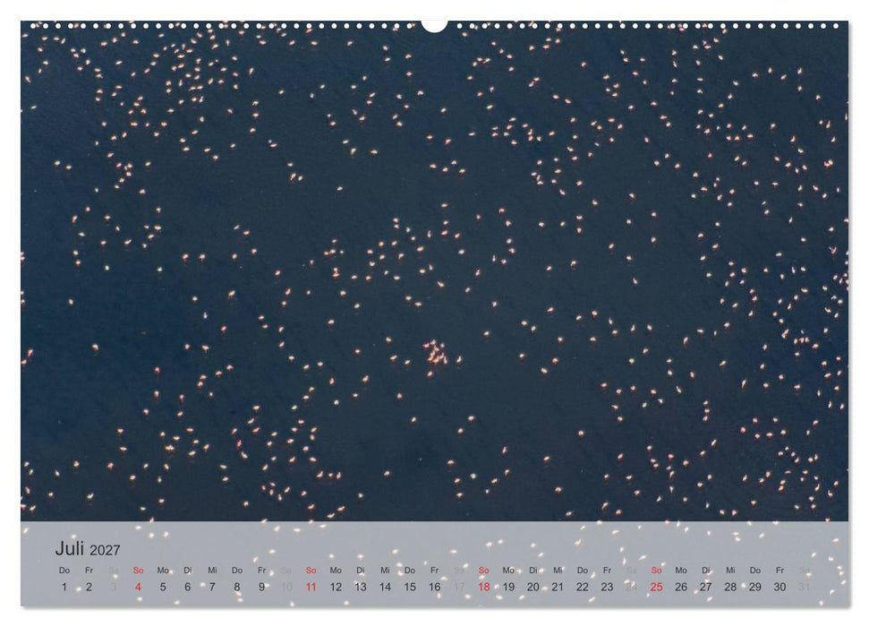 Flamingo Impressionen 2027 (CALVENDO Premium Wandkalender 2027)