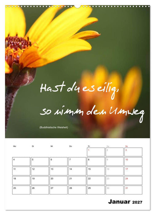 Sprüche und Weisheiten für´ s Jahr (CALVENDO Premium Wandkalender 2027)