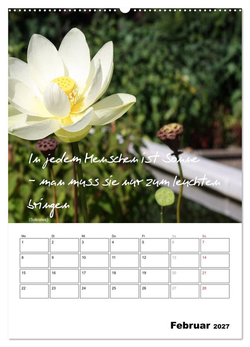 Sprüche und Weisheiten für´ s Jahr (CALVENDO Premium Wandkalender 2027)