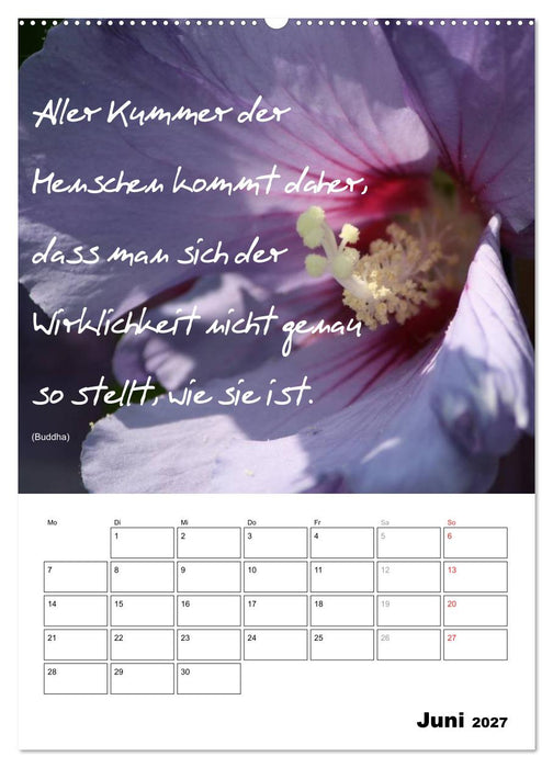 Sprüche und Weisheiten für´ s Jahr (CALVENDO Premium Wandkalender 2027)