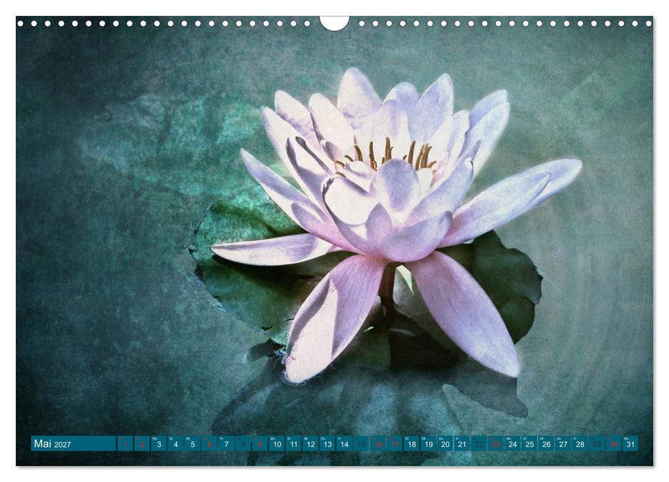 Momente der Stille (CALVENDO Wandkalender 2027)
