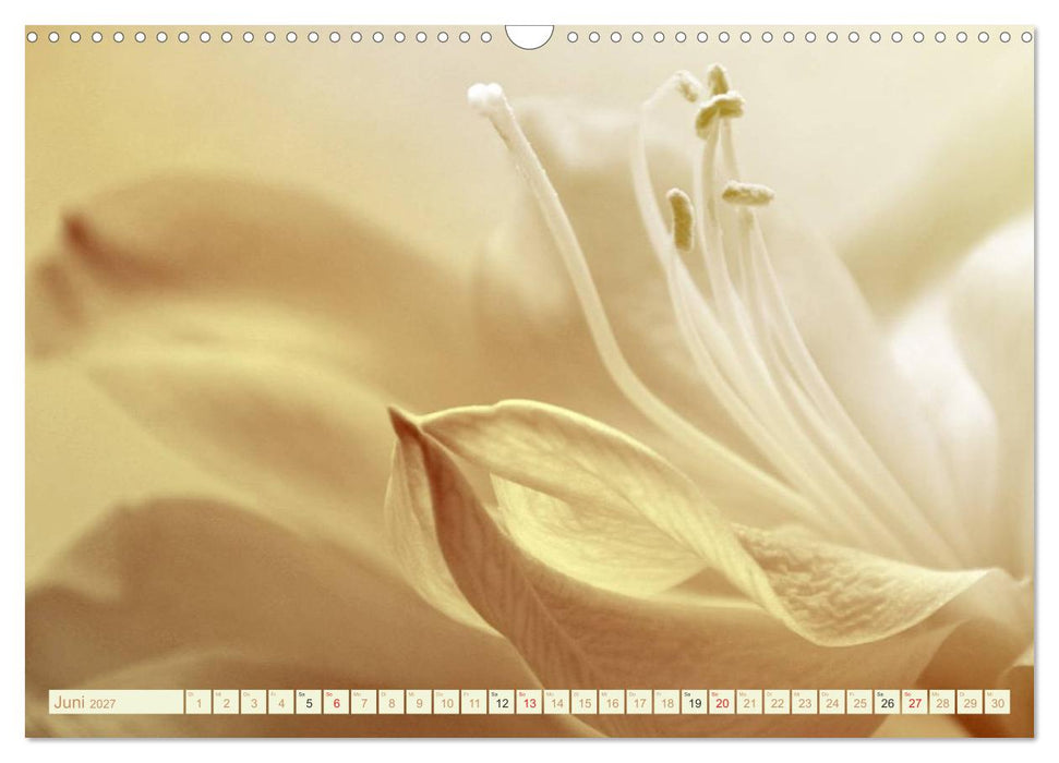 Momente der Stille (CALVENDO Wandkalender 2027)