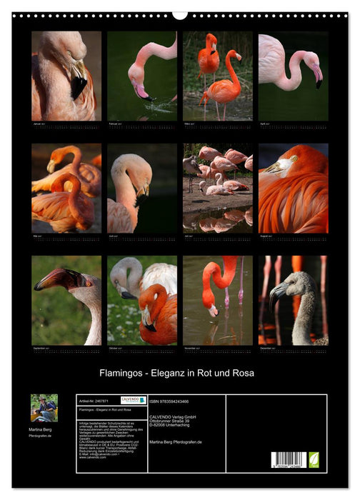Flamingos - Eleganz in Rot und Rosa (CALVENDO Wandkalender 2027)