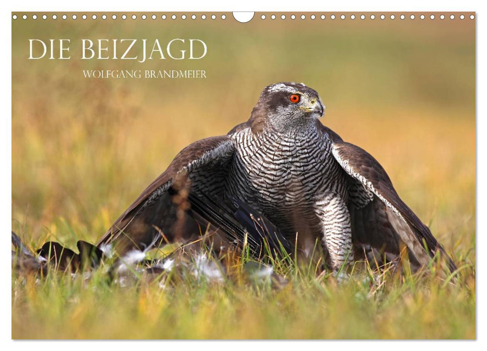 Die Beizjagd (CALVENDO Wandkalender 2027)