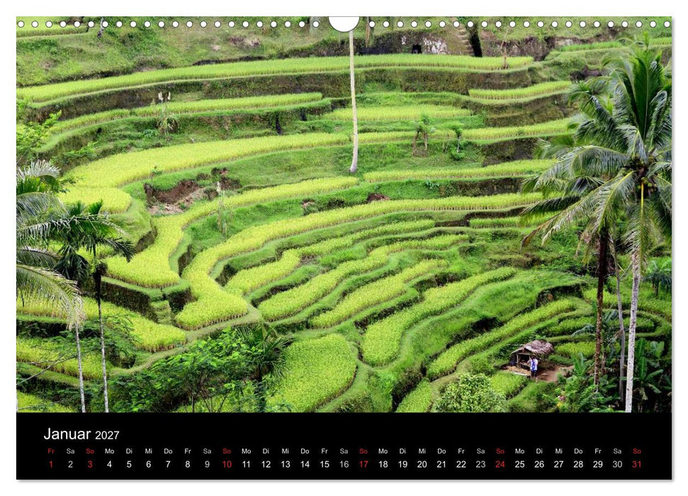 Bali (CALVENDO Wandkalender 2027)