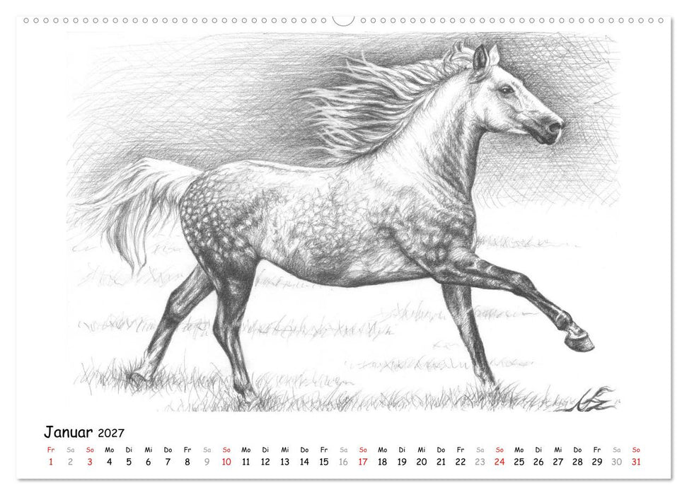 Arts & Horses (CALVENDO Wandkalender 2027)