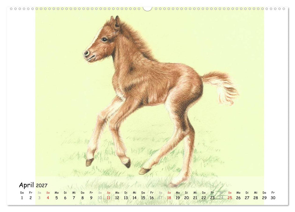 Arts & Horses (CALVENDO Wandkalender 2027)