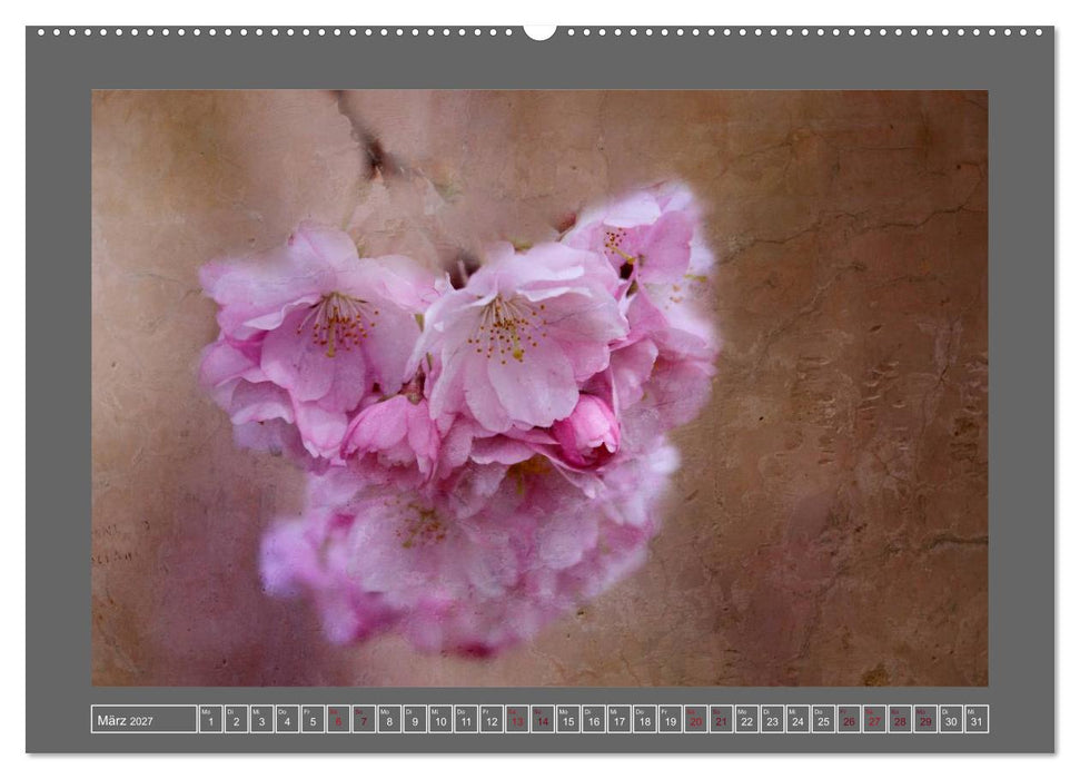 Blumen für dich (CALVENDO Wandkalender 2027)