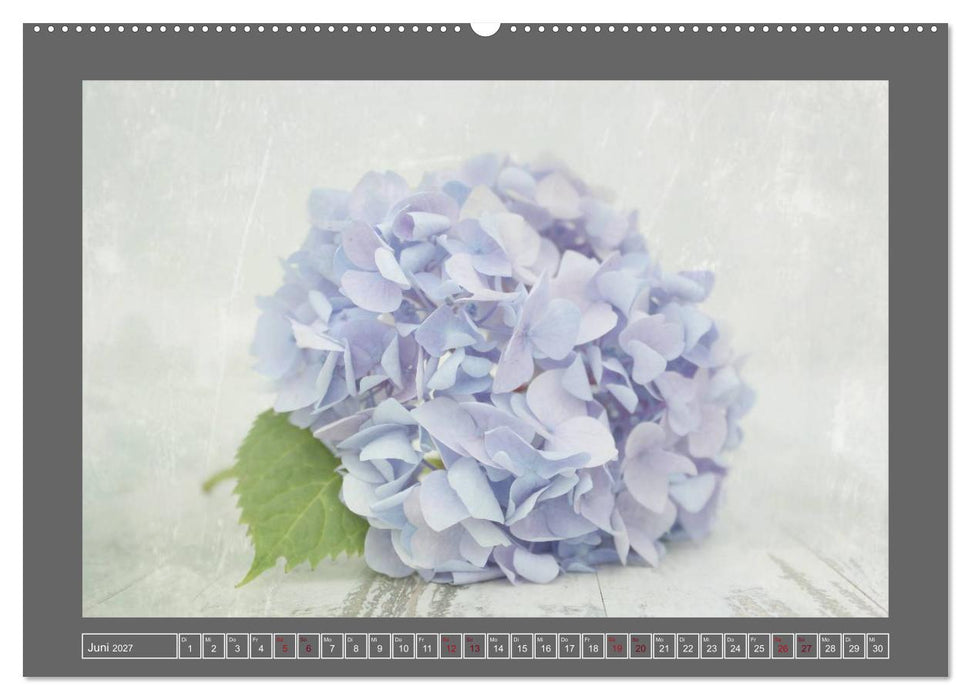 Blumen für dich (CALVENDO Wandkalender 2027)