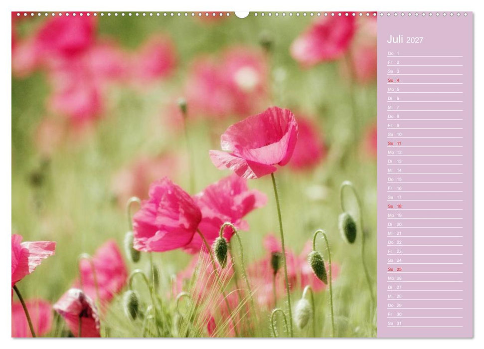 Blumenfreude (CALVENDO Premium Wandkalender 2027)