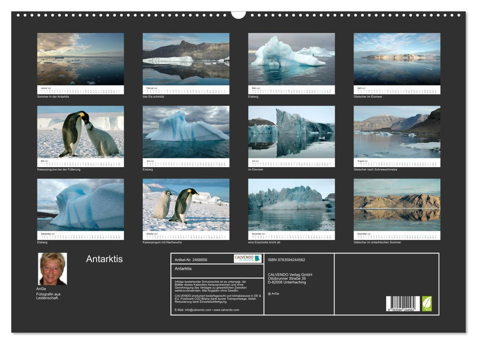 Antarktis (CALVENDO Wandkalender 2027)