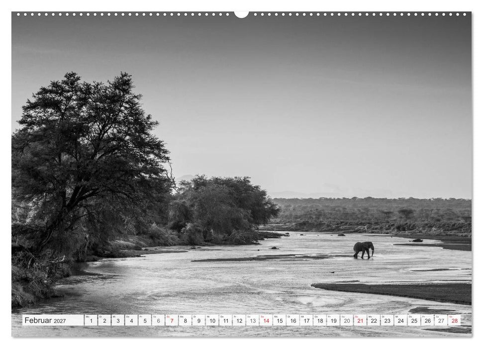Emotionale Momente: Elefanten in black & white (CALVENDO Wandkalender 2027)
