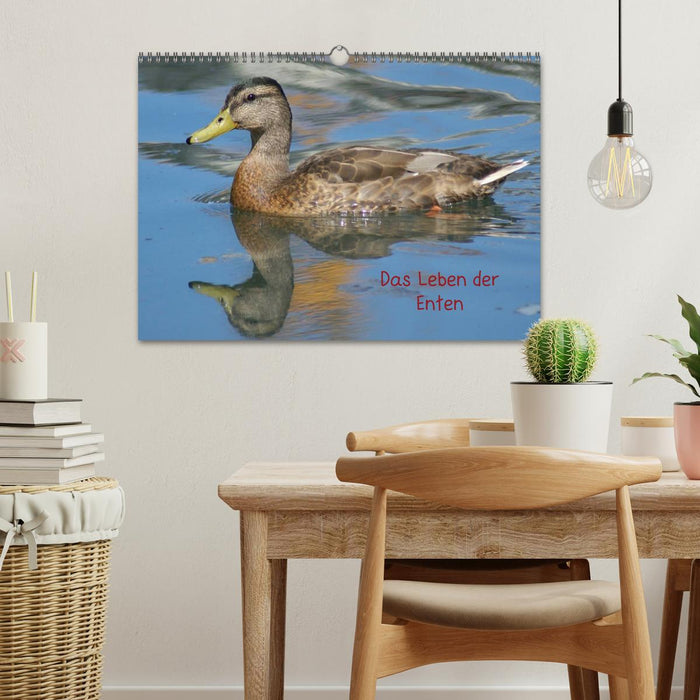 Das Leben der Enten (CALVENDO Wandkalender 2027)