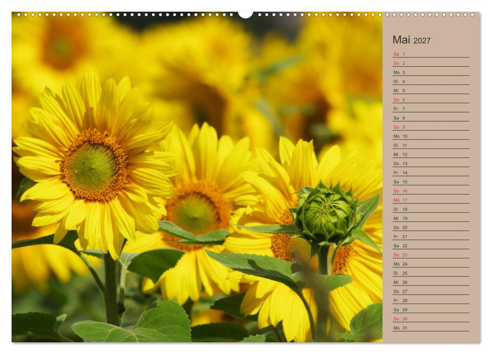 Natur Bilder Kalender (CALVENDO Premium Wandkalender 2027)