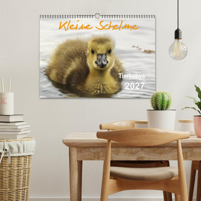 Kleine Schelme - Tierbabys (CALVENDO Wandkalender 2027)
