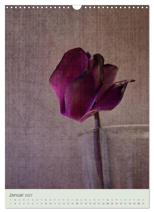 Flora (CALVENDO Wandkalender 2027)