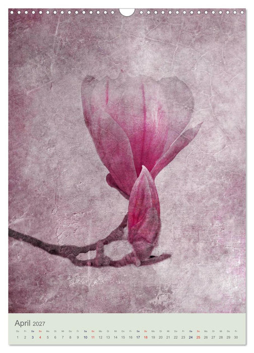 Flora (CALVENDO Wandkalender 2027)
