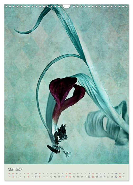 Flora (CALVENDO Wandkalender 2027)