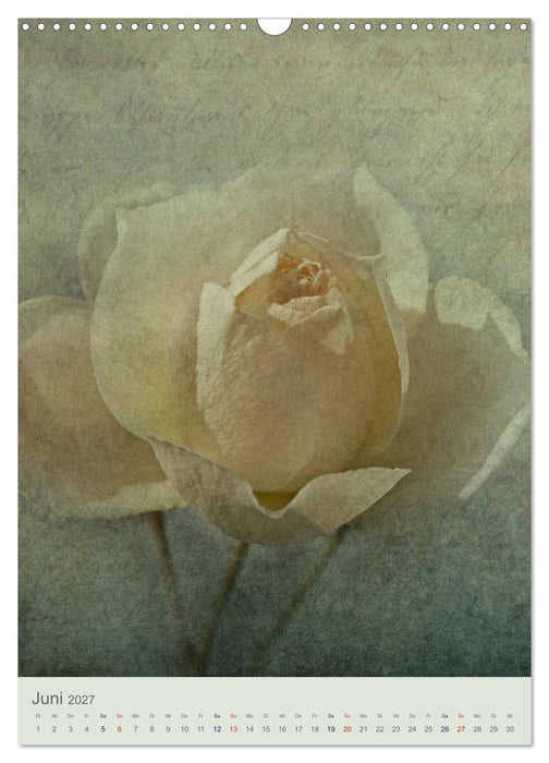 Flora (CALVENDO Wandkalender 2027)