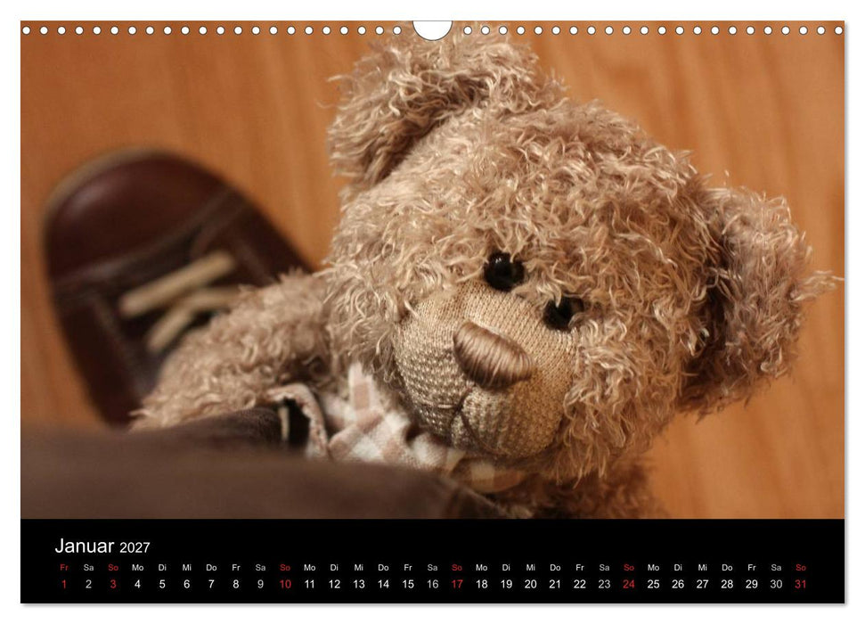 Bärentraum (CALVENDO Wandkalender 2027)