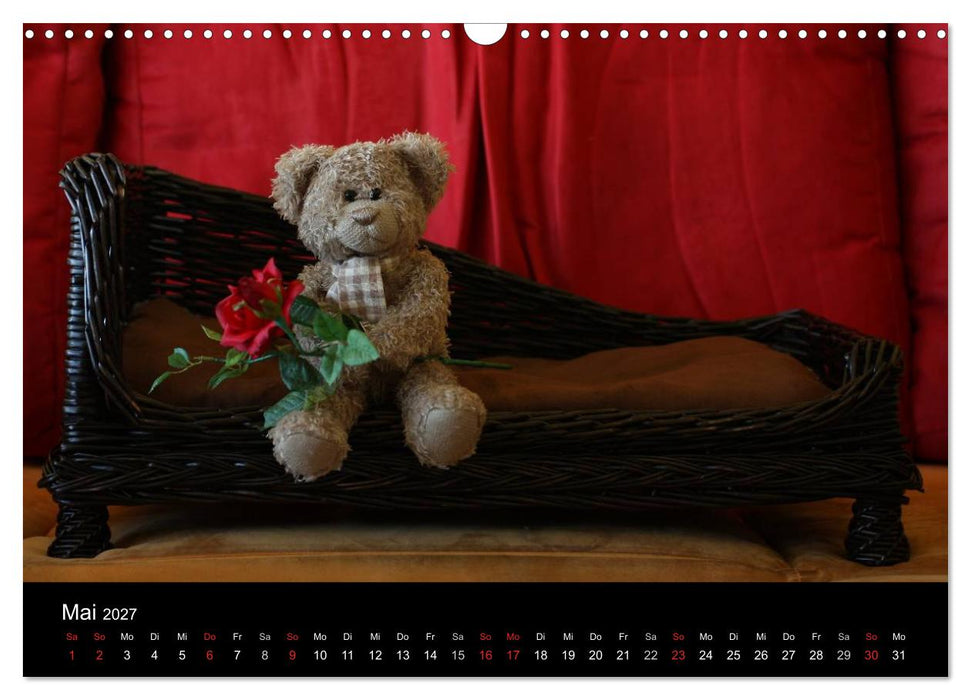 Bärentraum (CALVENDO Wandkalender 2027)