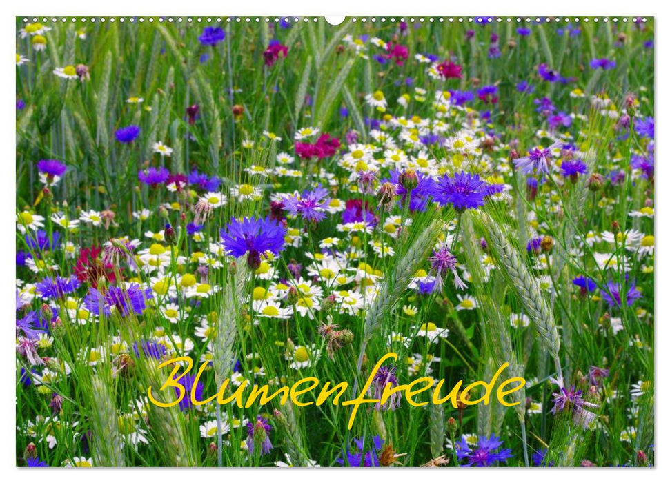 Blumenfreude (CALVENDO Wandkalender 2027)