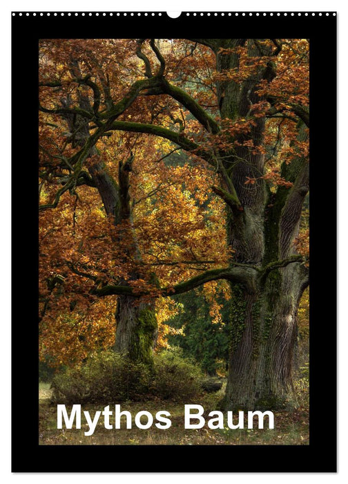 Mythos Baum / 2027 (CALVENDO Wandkalender 2027)