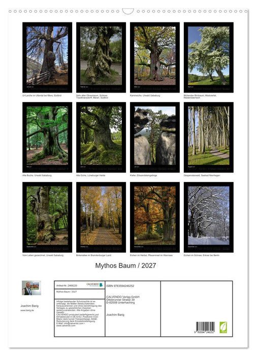 Mythos Baum / 2027 (CALVENDO Wandkalender 2027)